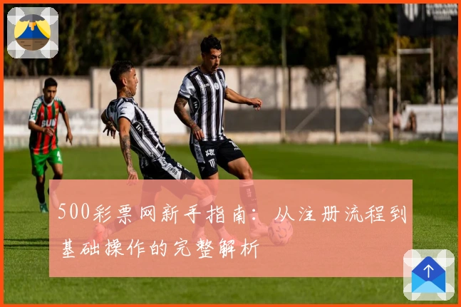 500彩票网新手指南：从注册流程到基础操作的完整解析